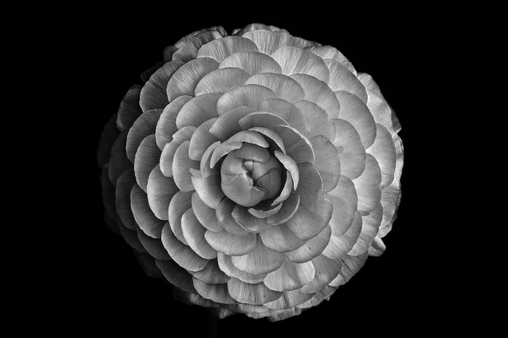 What Is Synchronicity? Jung's Idea of Meaningful Coincidence