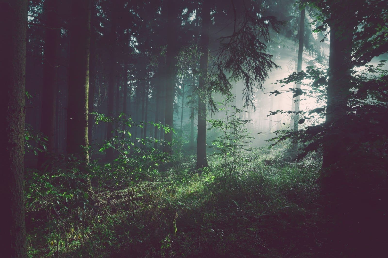 The 4 Core Jungian Archetypes - and What They're Telling You